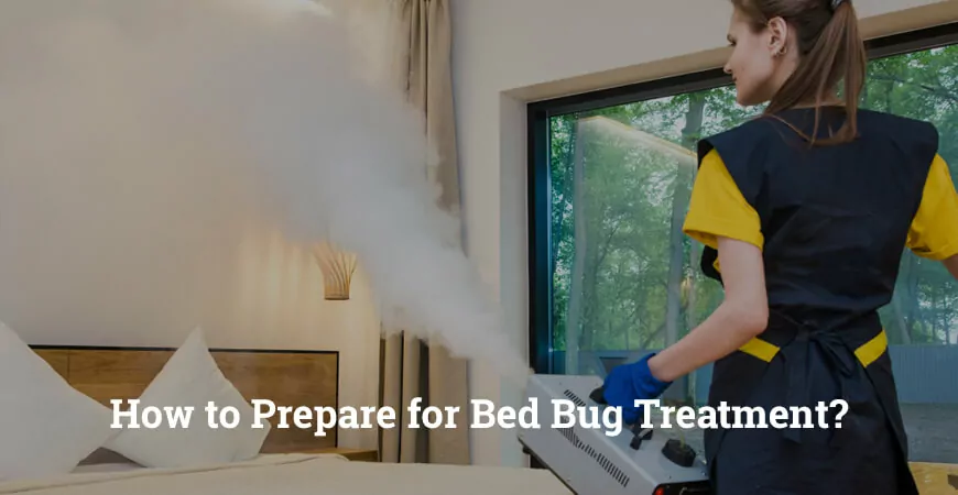 How to Prepare for Bed Bug Treatment